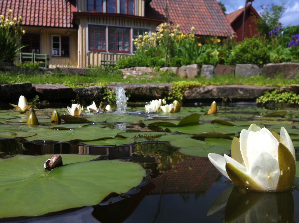 Vildrosor & Hoens Hagstad Exterior foto