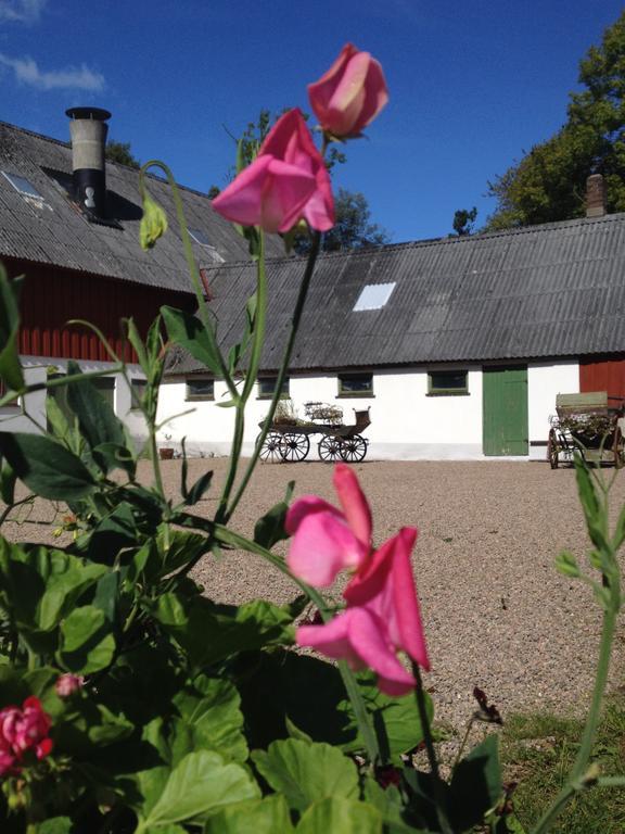Vildrosor & Hoens Hagstad Exterior foto